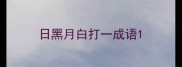 日黑月白打一成语