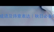 10个形容秋凉的成语及诗意表达秋日必备的文学词汇指南