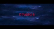 页字成语大全