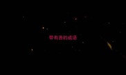 带有吝的成语