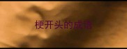 梗开头的成语