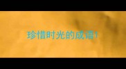 珍惜时光的成语
