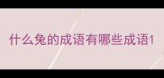 什么兔的成语有哪些成语