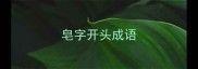 皂字开头成语