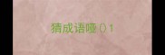 猜成语哑