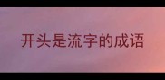 开头是流字的成语