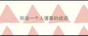 形容一个人懂事的成语