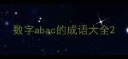 数字abac的成语大全