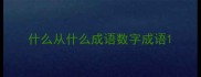 什么从什么成语数字成语