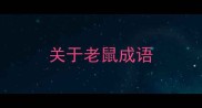 关于老鼠成语