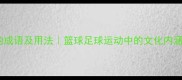 20个形容球的成语及用法篮球足球运动中的文化内涵与妙用指南