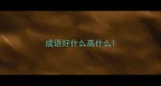 成语好什么高什么