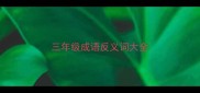 三年级成语反义词大全