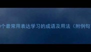 10个最常用表达学习的成语及用法附例句