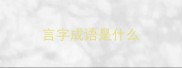 言字成语是什么