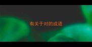 有关于对的成语