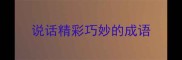 说话精彩巧妙的成语