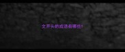文开头的成语有哪些