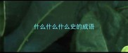 什么什么什么史的成语