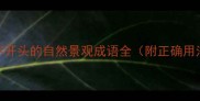 山字开头的自然景观成语全附正确用法