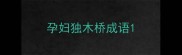 孕妇独木桥成语
