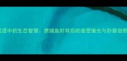 成语中的生态智慧禁捕鱼虾背后的凿壁偷光与卧薪尝胆
