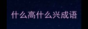 什么高什么兴成语