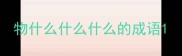 物什么什么什么的成语
