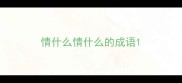 情什么情什么的成语