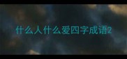 什么人什么爱四字成语