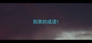 别类的成语