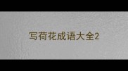 写荷花成语大全