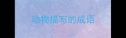 动物描写的成语