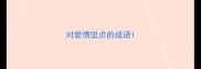 对爱情坚贞的成语