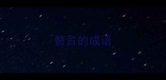 赘言的成语