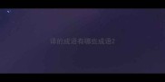 译的成语有哪些成语