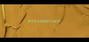 举字开头成语是什么成语
