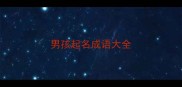 男孩起名成语大全