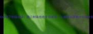 蒲松龄笔下的狼成语狼三则背后的生存智慧从聊斋志异看中华处世哲学