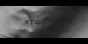 关于成语的对联