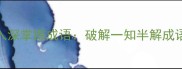 如何从浅入深掌握成语破解一知半解成语学习困局
