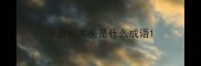 小丑和木头是什么成语