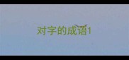 对字的成语