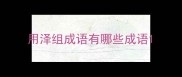 用泽组成语有哪些成语