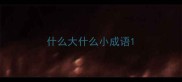 什么大什么小成语