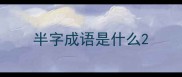 半字成语是什么