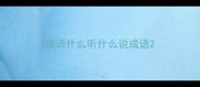 成语什么听什么说成语