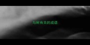 与树有关的成语