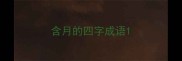 含月的四字成语