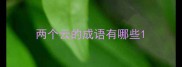两个云的成语有哪些
